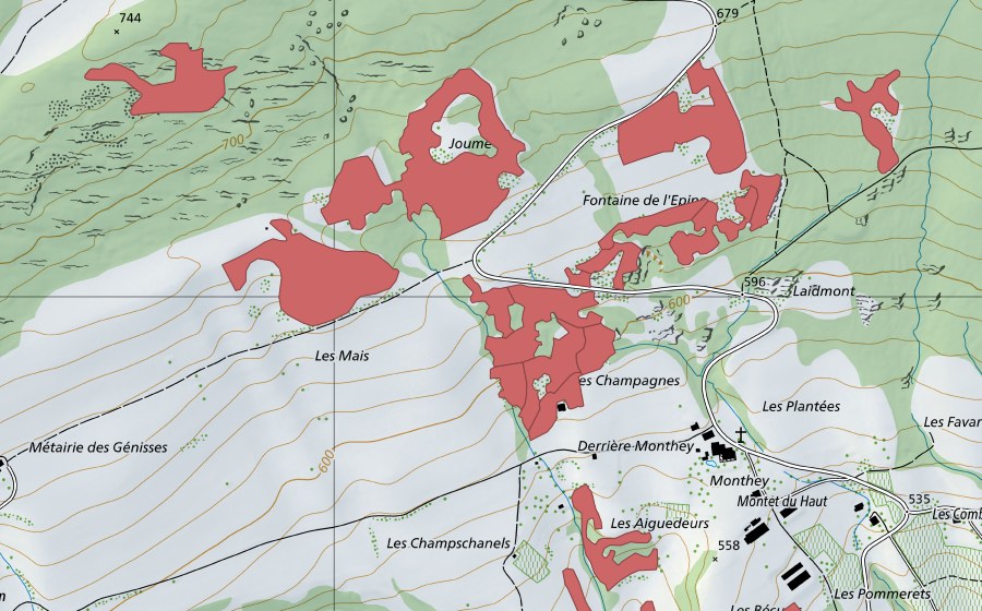 swisstopo national map showing the protected perimeter of Monthey du Haut (Dry meadow)
