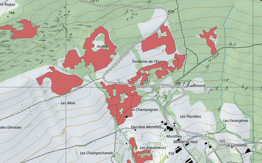swisstopo national map showing the protected perimeter of Monthey du Haut (Dry meadow)