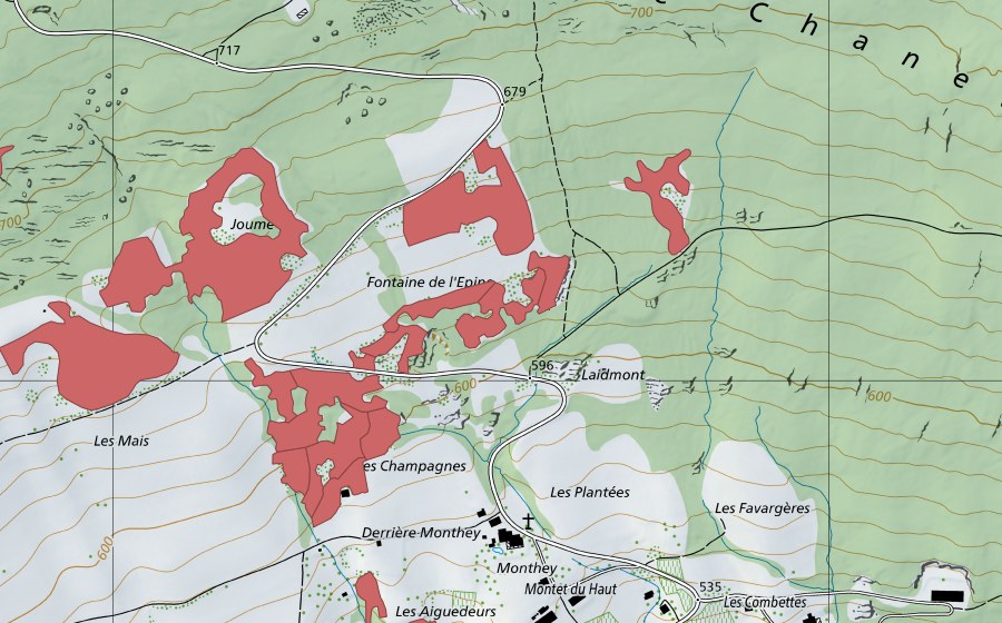 Landeskarte swisstopo mit dem Schutzperimeter von Monthey du Haut (Trockenwiese)