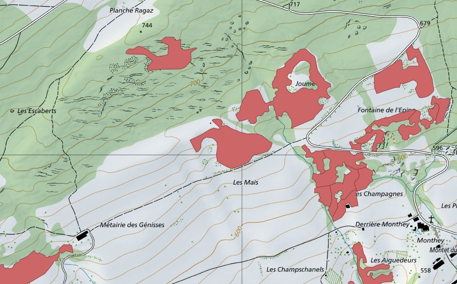 swisstopo national map showing the protected perimeter of Monthey du Haut (Dry meadow)