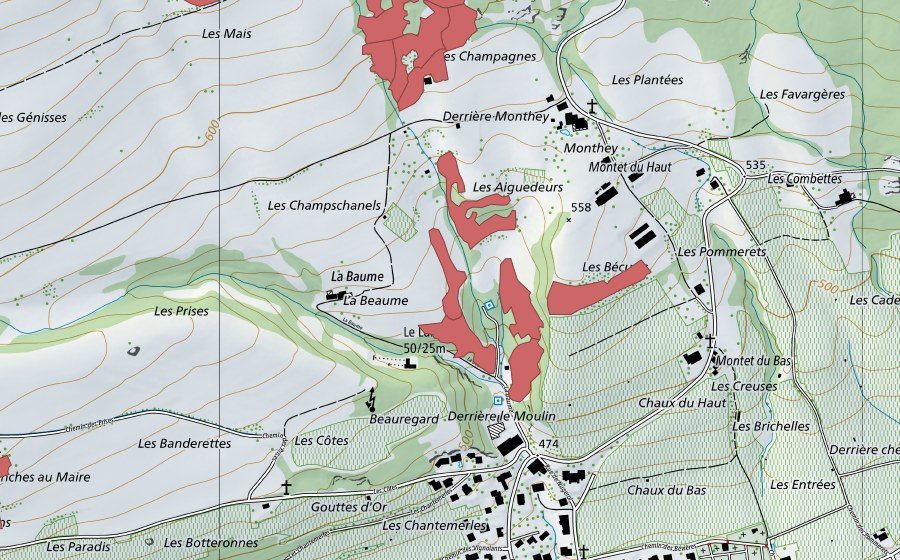 swisstopo national map showing the protected perimeter of Monthey du Haut (Dry meadow)