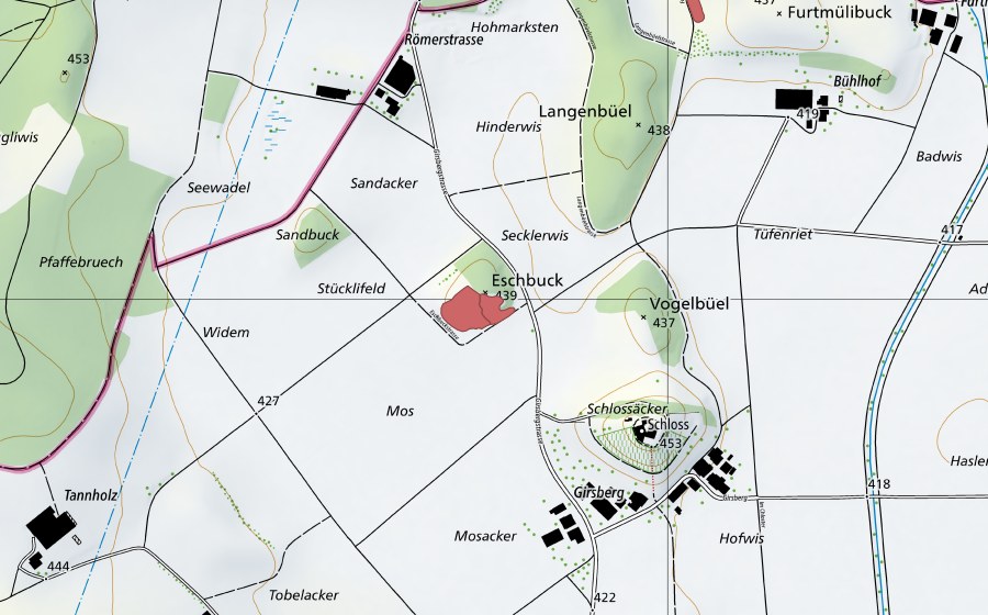 Landeskarte swisstopo mit dem Schutzperimeter von Moos (Trockenwiese)