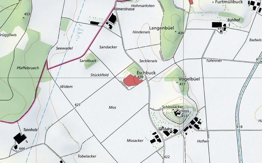 Landeskarte swisstopo mit dem Schutzperimeter von Moos (Trockenwiese)