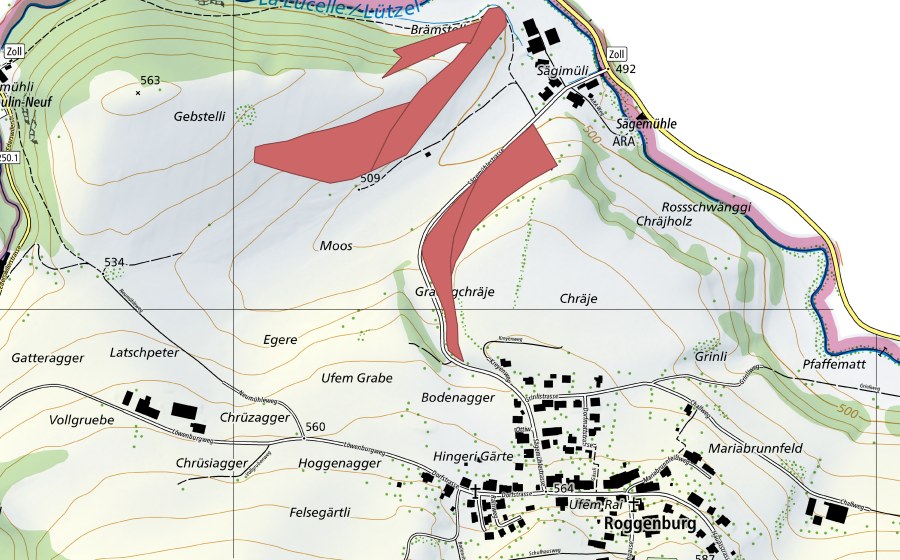 swisstopo national map showing the protected perimeter of Moos (Dry meadow)