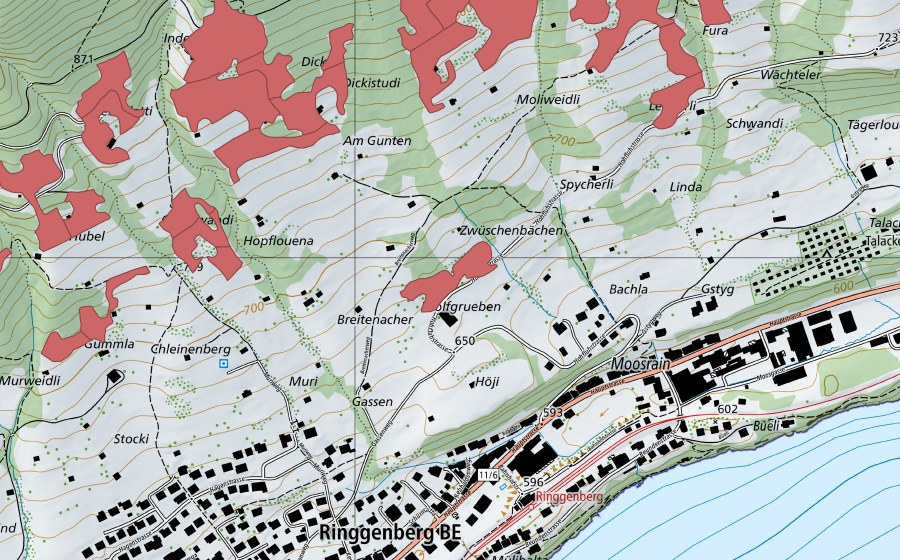 Carte nationale swisstopo avec le périmètre protégé de Moosrain (Prairie sèche)