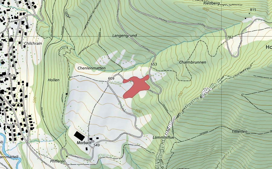 Landeskarte swisstopo mit dem Schutzperimeter von Morbach (Trockenwiese)