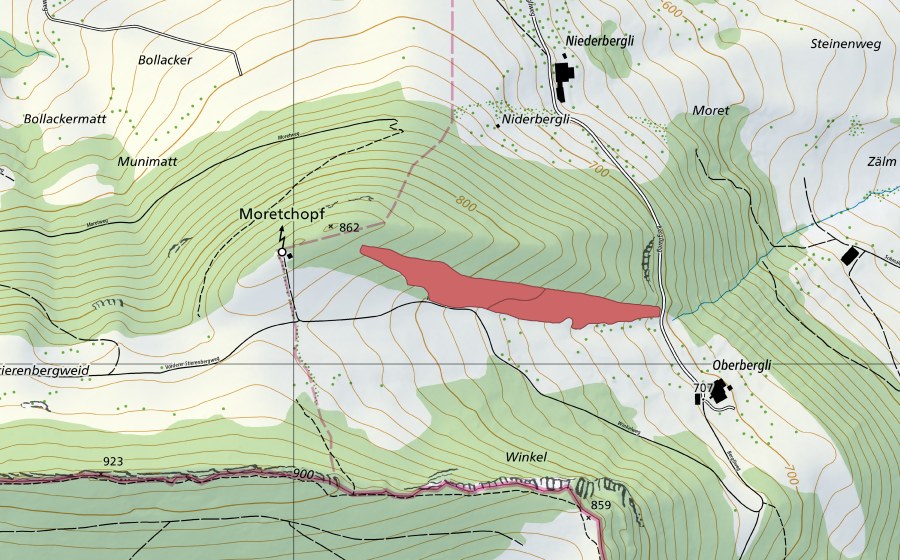 swisstopo national map showing the protected perimeter of Moretchopf (Dry meadow)
