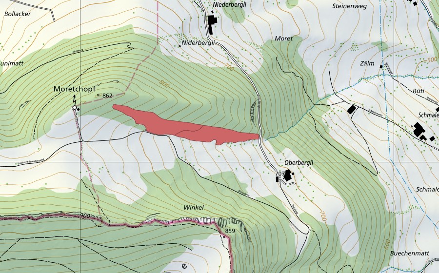 Landeskarte swisstopo mit dem Schutzperimeter von Moretchopf (Trockenwiese)