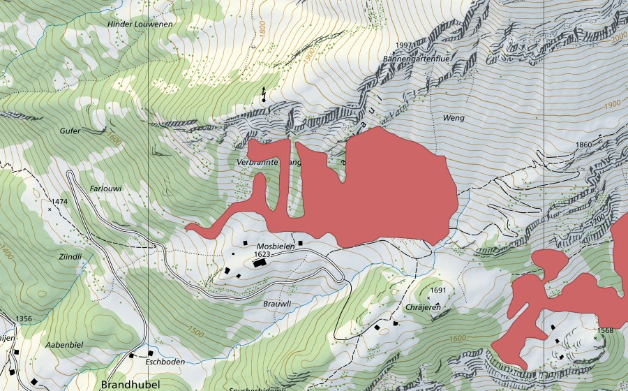 swisstopo national map showing the protected perimeter of Mosbielen (Dry meadow)