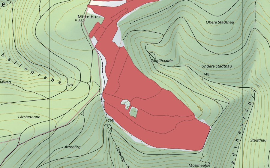 swisstopo national map showing the protected perimeter of Mösli (Dry meadow)