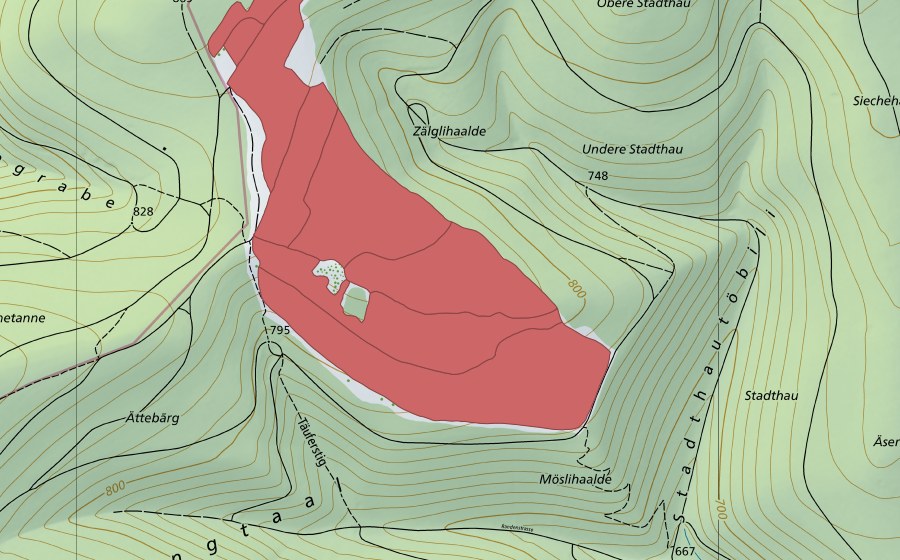 Landeskarte swisstopo mit dem Schutzperimeter von Mösli (Trockenwiese)