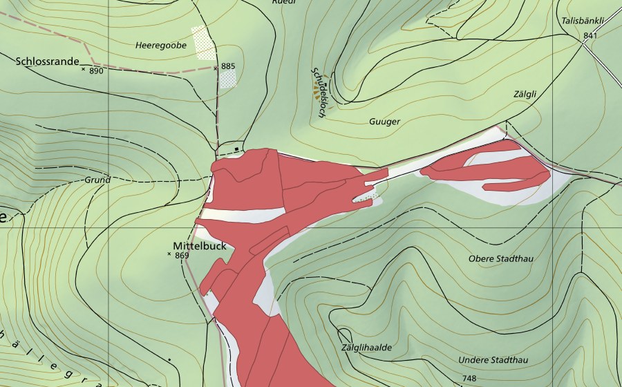 swisstopo national map showing the protected perimeter of Mösli (Dry meadow)