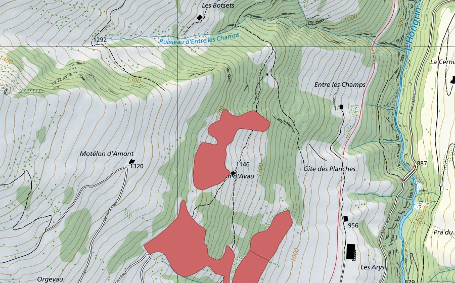 swisstopo national map showing the protected perimeter of Motélon d'Avau (Dry meadow)