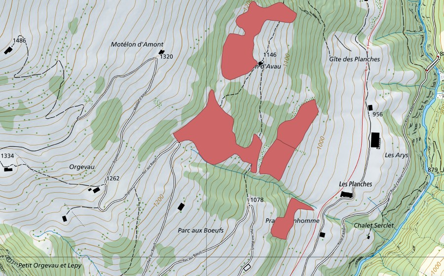 Landeskarte swisstopo mit dem Schutzperimeter von Motélon d'Avau (Trockenwiese)
