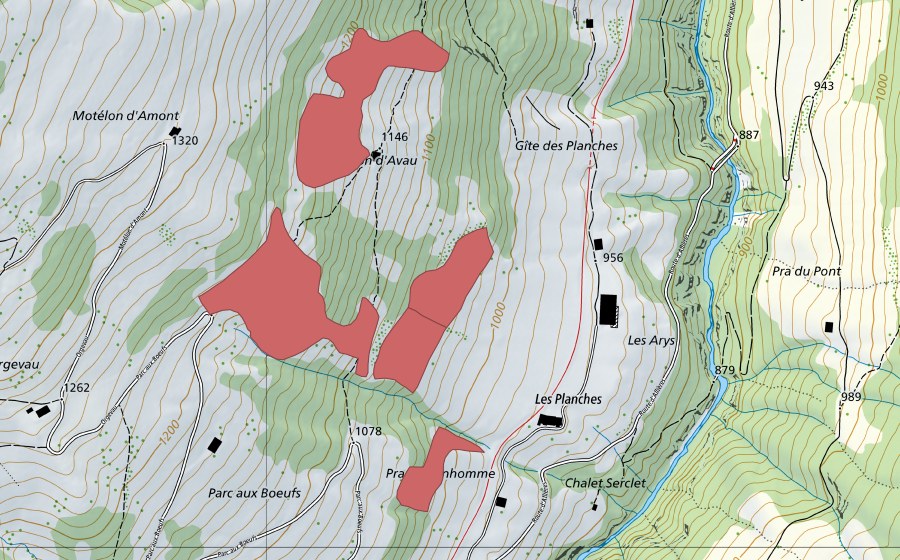 Landeskarte swisstopo mit dem Schutzperimeter von Motélon d'Avau (Trockenwiese)