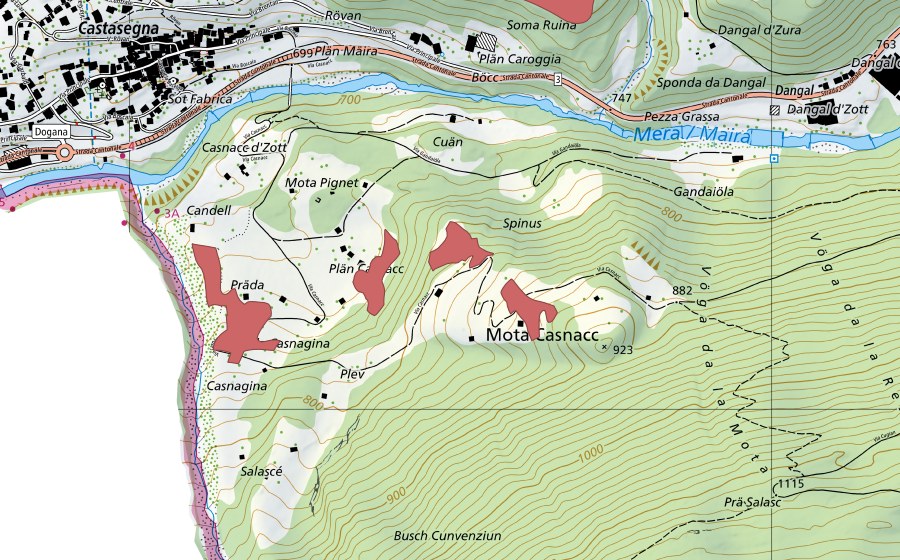 swisstopo national map showing the protected perimeter of Motta (Dry meadow)