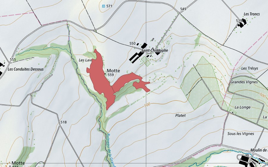Landeskarte swisstopo mit dem Schutzperimeter von Motte (Trockenwiese)