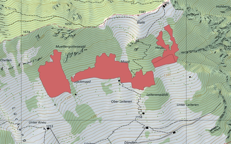 Carte nationale swisstopo avec le périmètre protégé de Muetergotteswald (Prairie sèche)