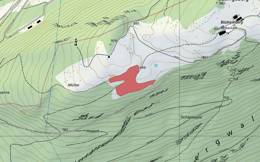 Landeskarte swisstopo mit dem Schutzperimeter von Mülbe (Trockenwiese)