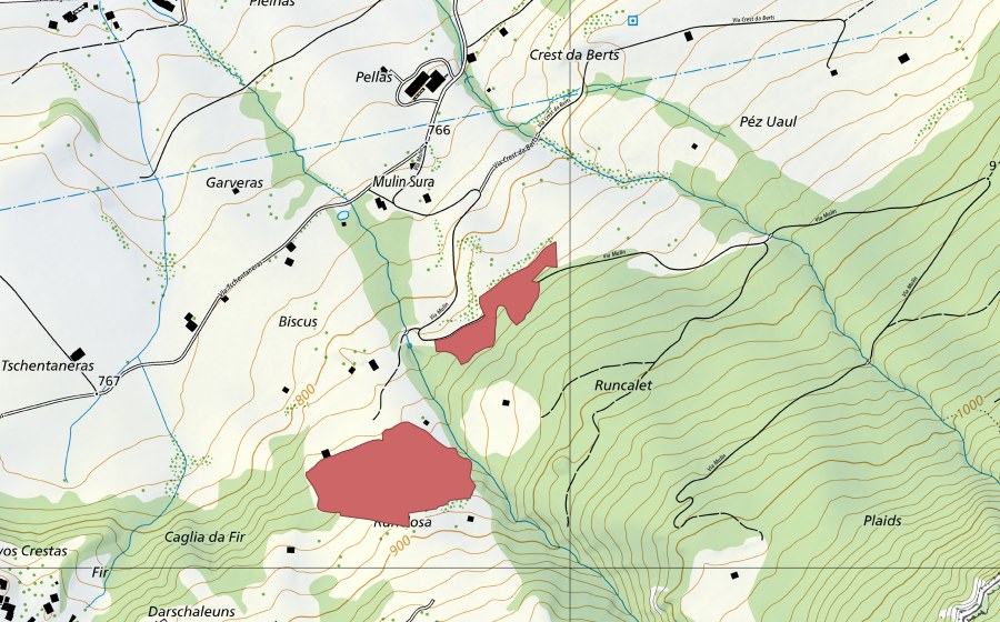 Landeskarte swisstopo mit dem Schutzperimeter von Mulin Sura (Trockenwiese)