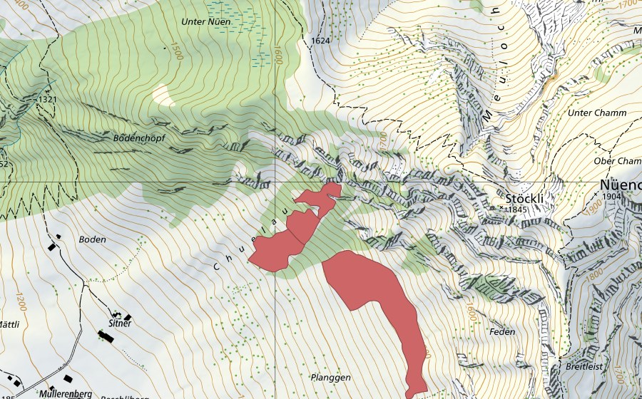 swisstopo national map showing the protected perimeter of Mullerenplanggen (Dry meadow)