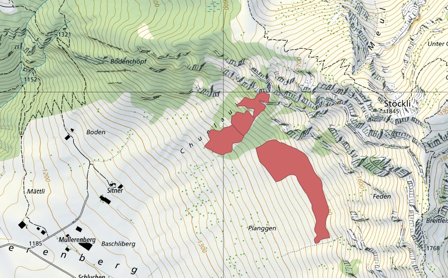 Landeskarte swisstopo mit dem Schutzperimeter von Mullerenplanggen (Trockenwiese)