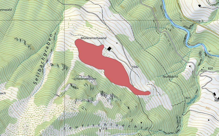 swisstopo national map showing the protected perimeter of Müllerenschwand (Dry meadow)