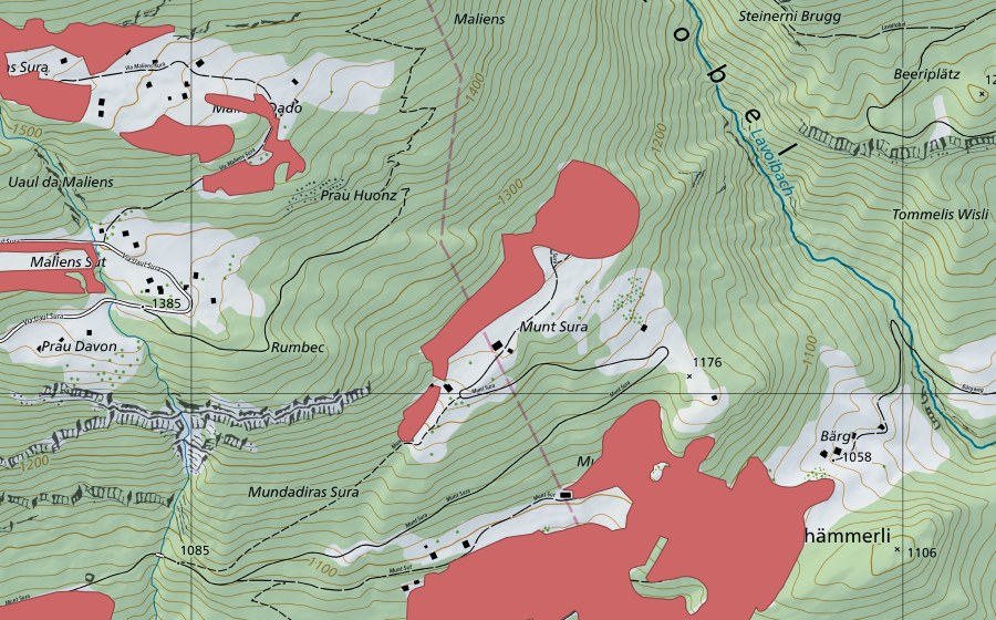 swisstopo national map showing the protected perimeter of Munt Sura (Dry meadow)