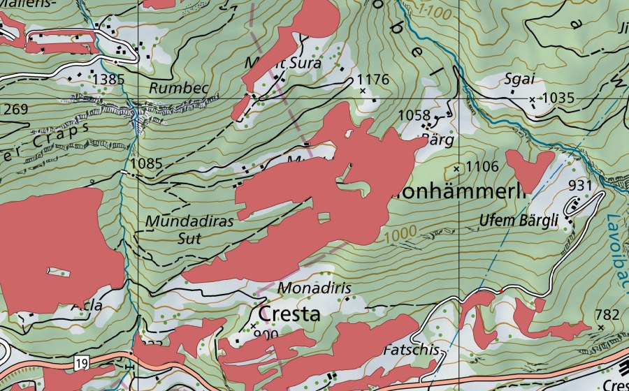 Carte nationale swisstopo avec le périmètre protégé de Munt Sut (Prairie sèche)