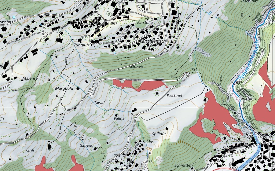 Landeskarte swisstopo mit dem Schutzperimeter von Munza (Trockenwiese)