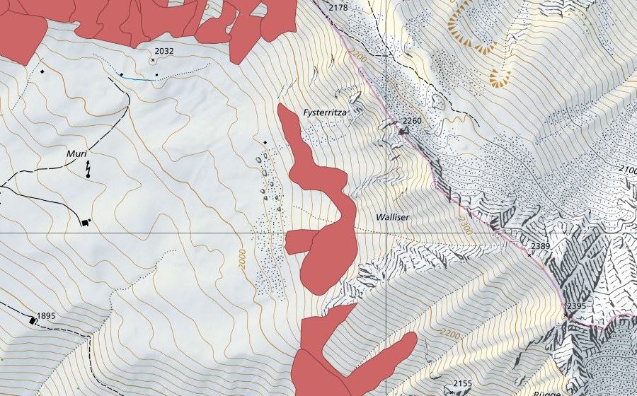 Landeskarte swisstopo mit dem Schutzperimeter von Muri (Trockenwiese)