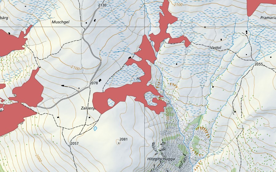 swisstopo national map showing the protected perimeter of Muschgel (Dry meadow)