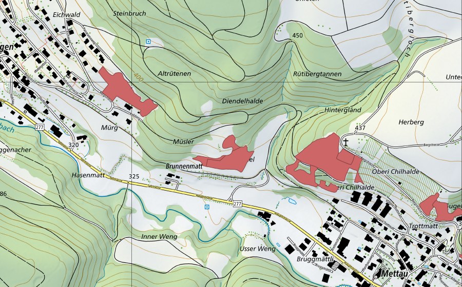swisstopo national map showing the protected perimeter of Müsler (Dry meadow)