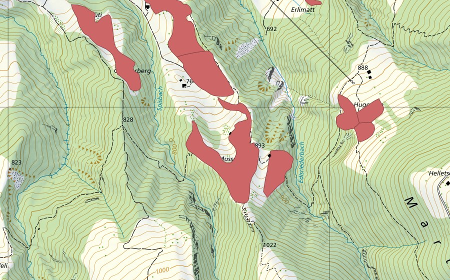 swisstopo national map showing the protected perimeter of Musschwändeli (Dry meadow)