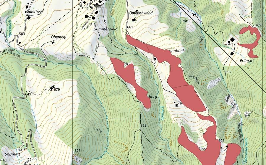 Landeskarte swisstopo mit dem Schutzperimeter von Musschwändeli (Trockenwiese)