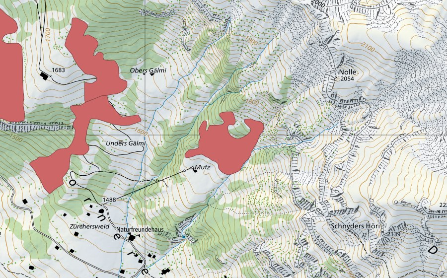 Landeskarte swisstopo mit dem Schutzperimeter von Mutz (Trockenwiese)