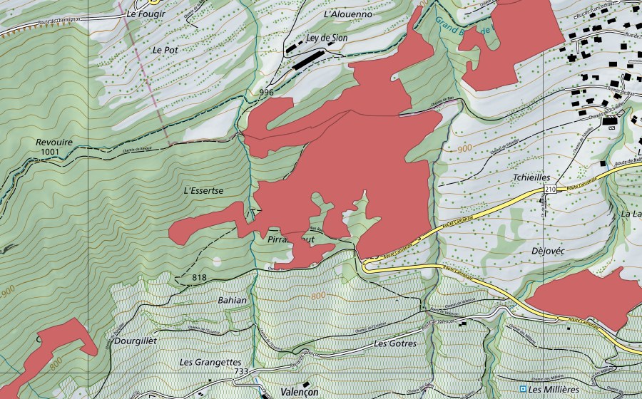 swisstopo national map showing the protected perimeter of Nan (Dry meadow)