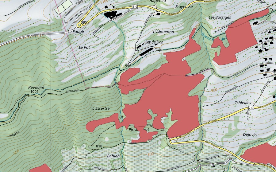 Landeskarte swisstopo mit dem Schutzperimeter von Nan (Trockenwiese)
