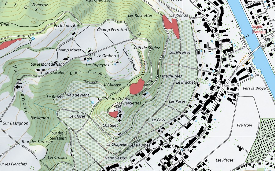 Carte nationale swisstopo avec le périmètre protégé de Nant-Dessus (Prairie sèche)