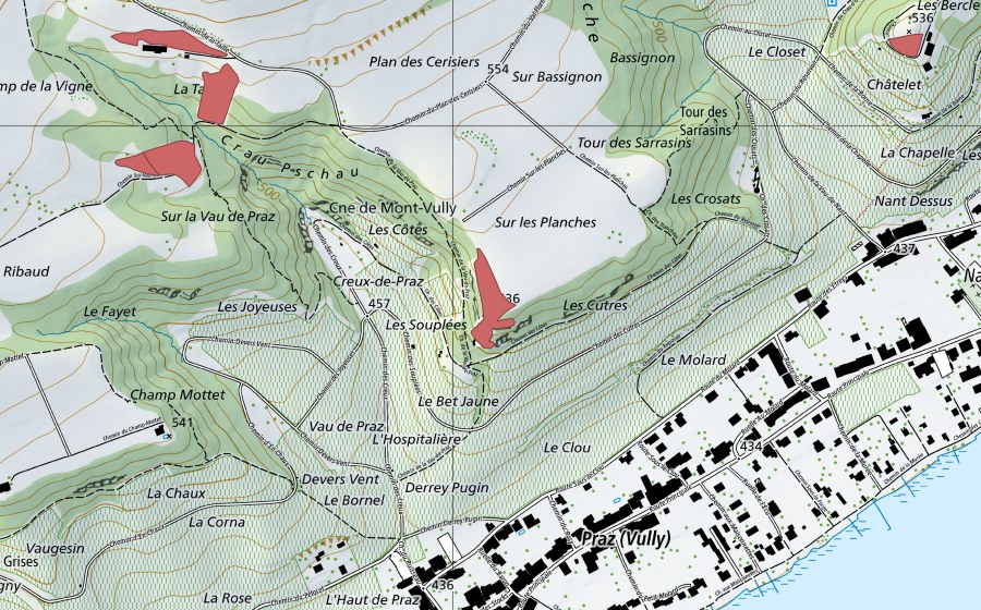 Landeskarte swisstopo mit dem Schutzperimeter von Nant-Dessus (Trockenwiese)