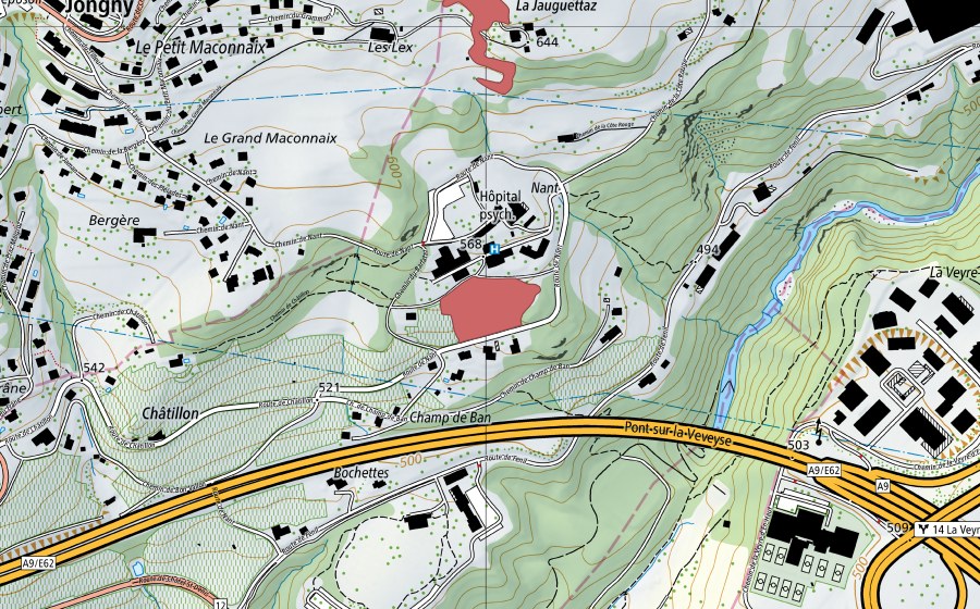 Carte nationale swisstopo avec le périmètre protégé de Nant (Prairie sèche)