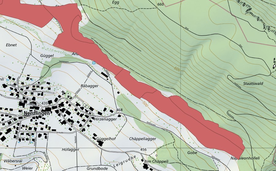 swisstopo national map showing the protected perimeter of Nänzligenweid (Dry meadow)