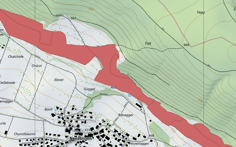 swisstopo national map showing the protected perimeter of Nänzligenweid (Dry meadow)