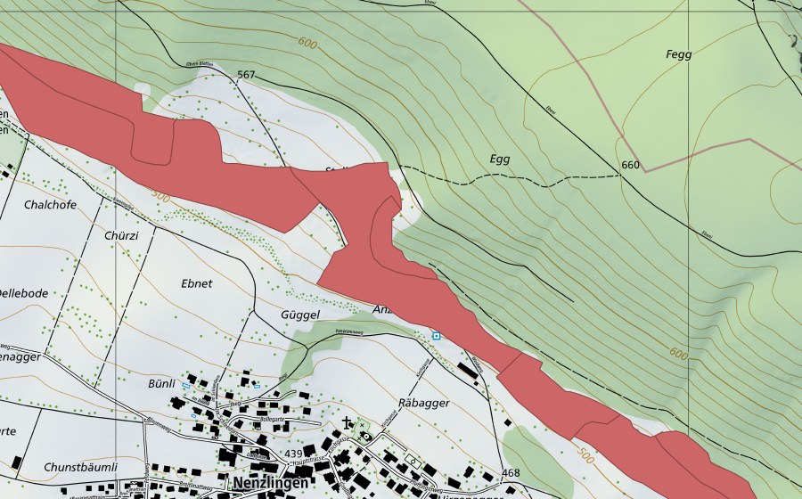 Landeskarte swisstopo mit dem Schutzperimeter von Nänzligenweid (Trockenwiese)