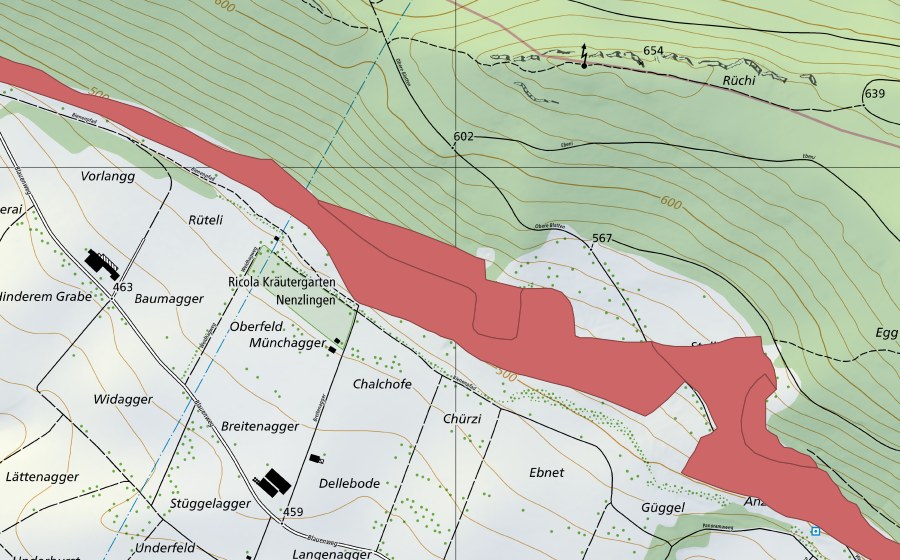 Carte nationale swisstopo avec le périmètre protégé de Nänzligenweid (Prairie sèche)