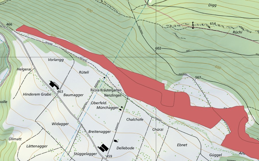Carte nationale swisstopo avec le périmètre protégé de Nänzligenweid (Prairie sèche)