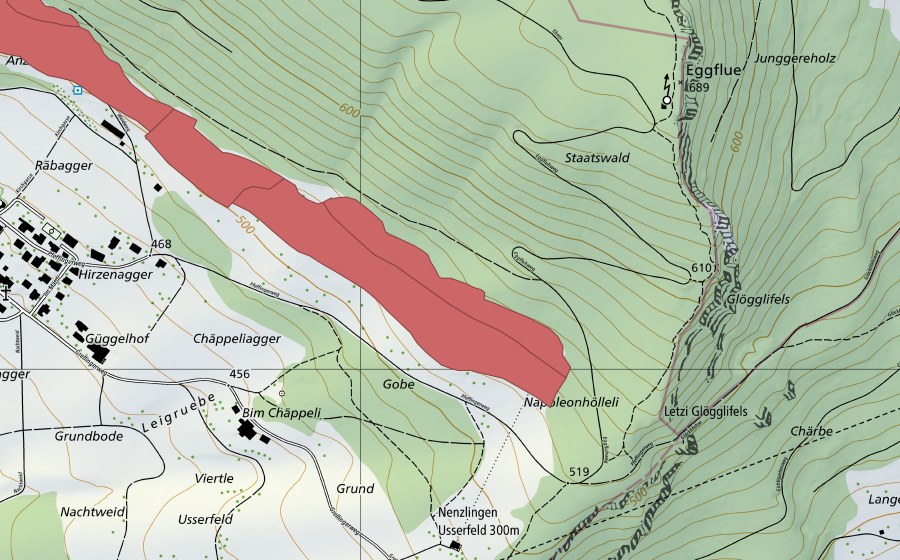 Landeskarte swisstopo mit dem Schutzperimeter von Nänzligenweid (Trockenwiese)