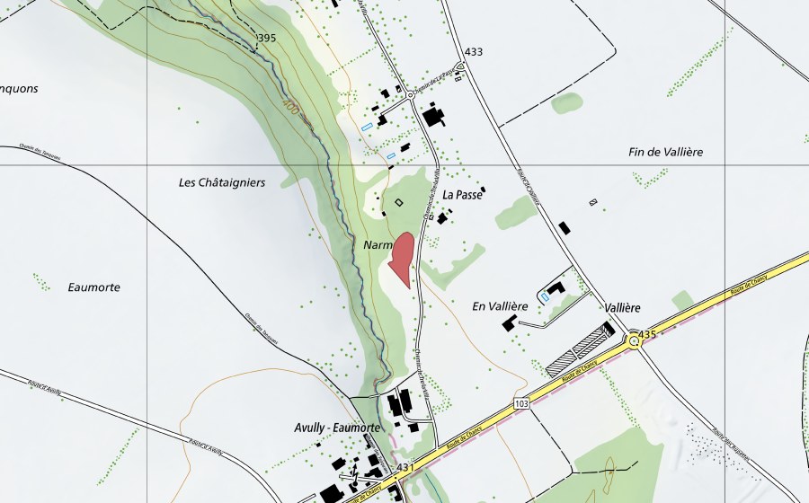 swisstopo national map showing the protected perimeter of Narmeux (Dry meadow)