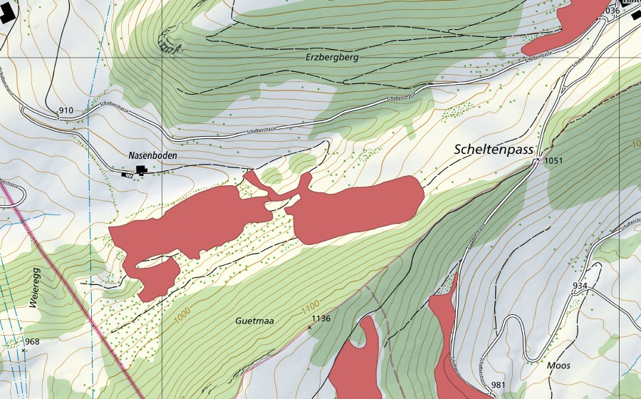 swisstopo national map showing the protected perimeter of Nasenboden (Dry meadow)
