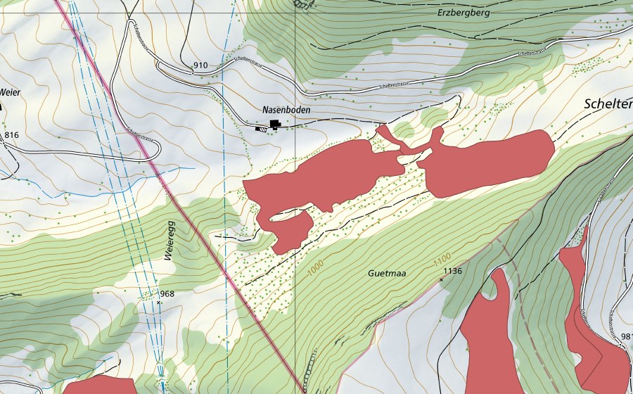 Landeskarte swisstopo mit dem Schutzperimeter von Nasenboden (Trockenwiese)